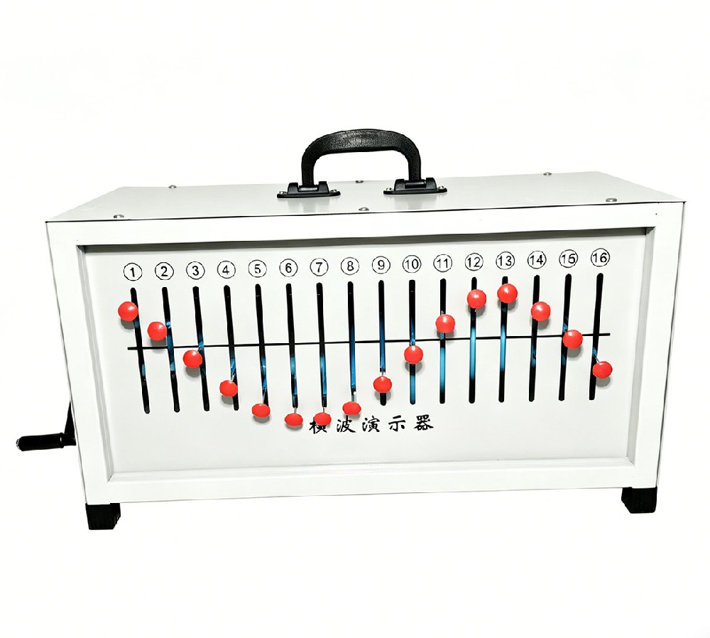纵横波演示器