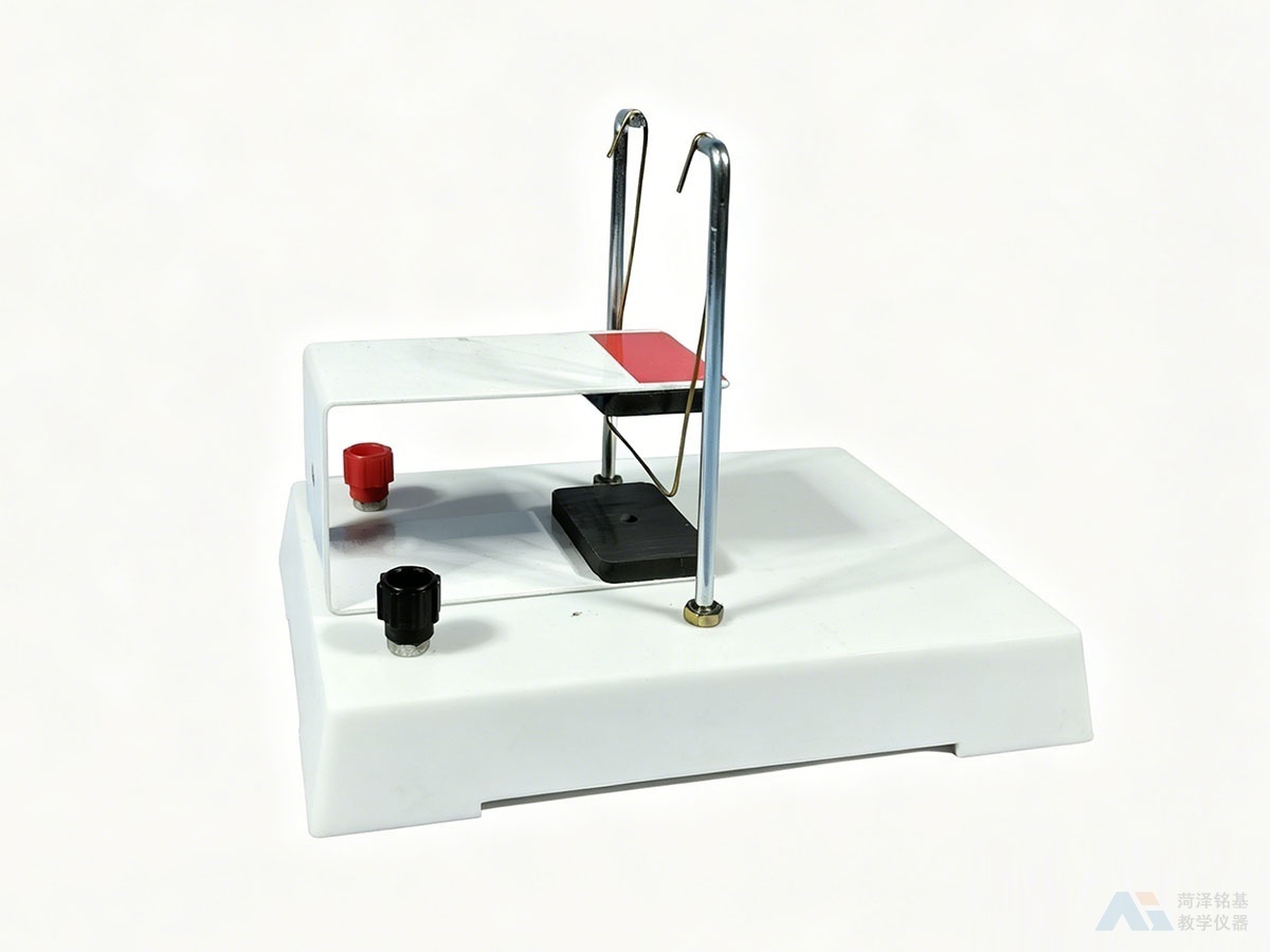 磁场对电流作用实验器 侧面