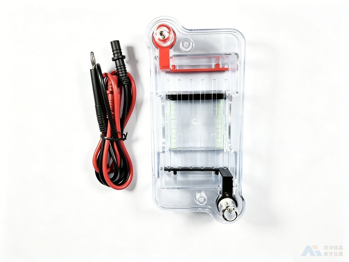 水平电泳槽 及电源线