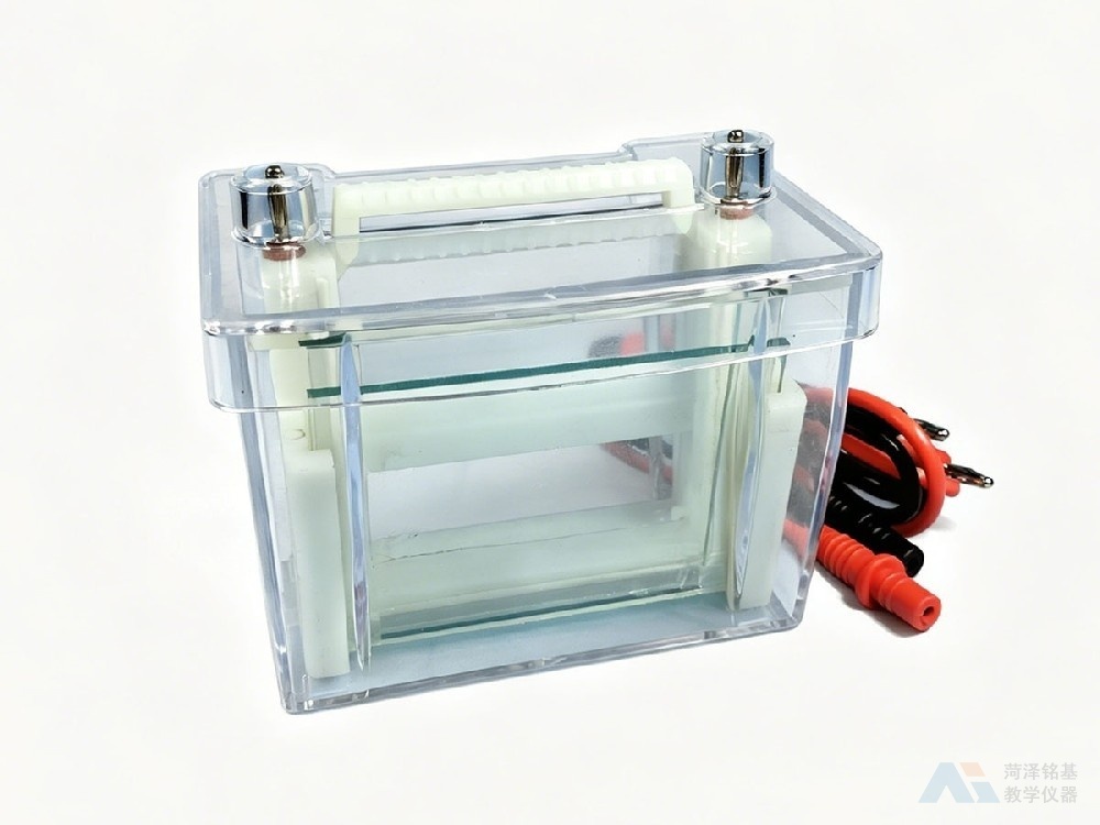 垂直电泳槽 整体展示