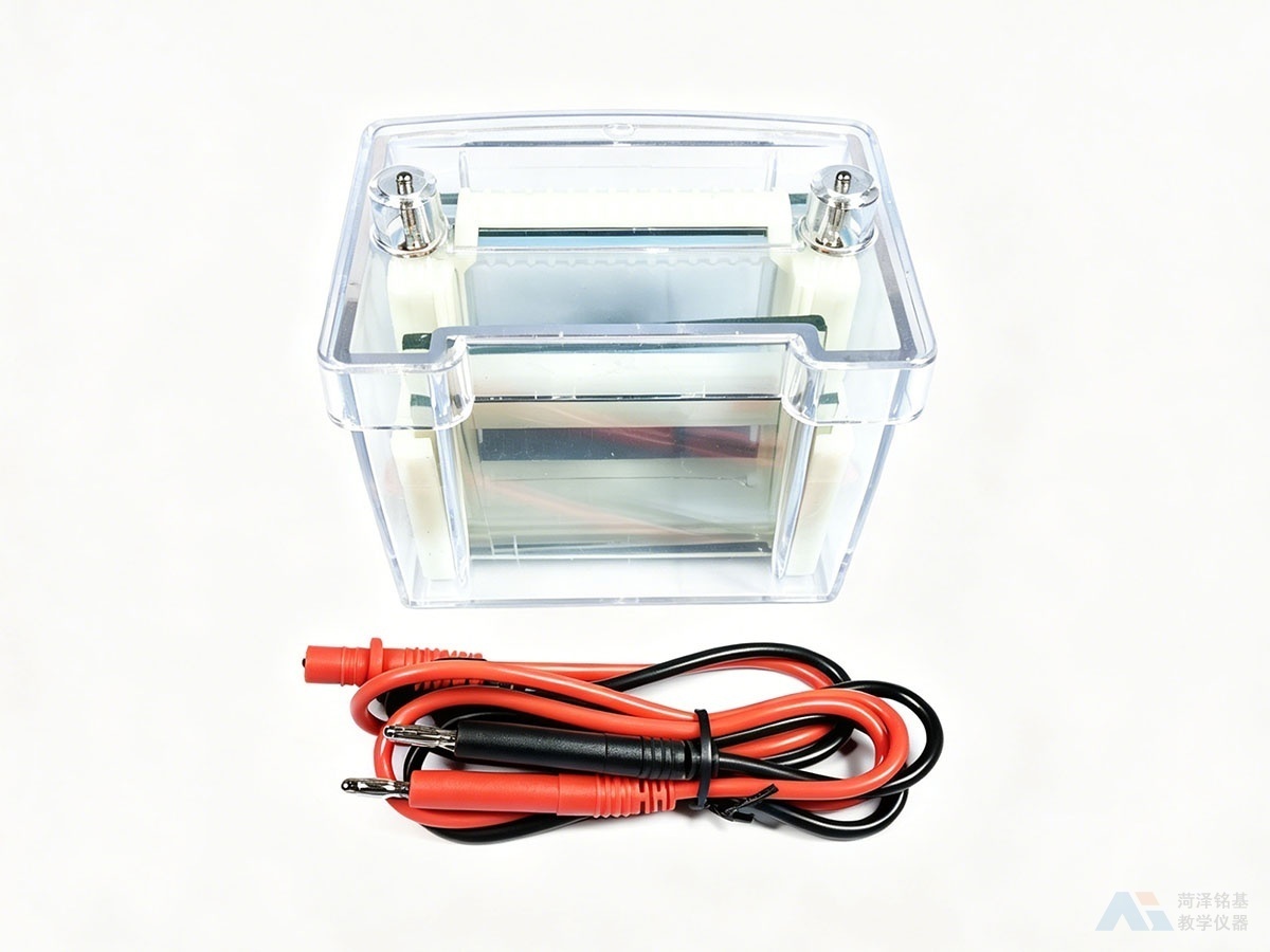 垂直电泳槽 组装后