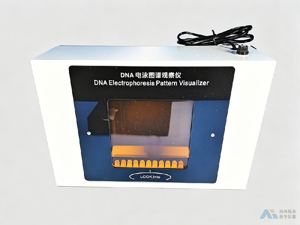 DNA电泳图谱观察仪