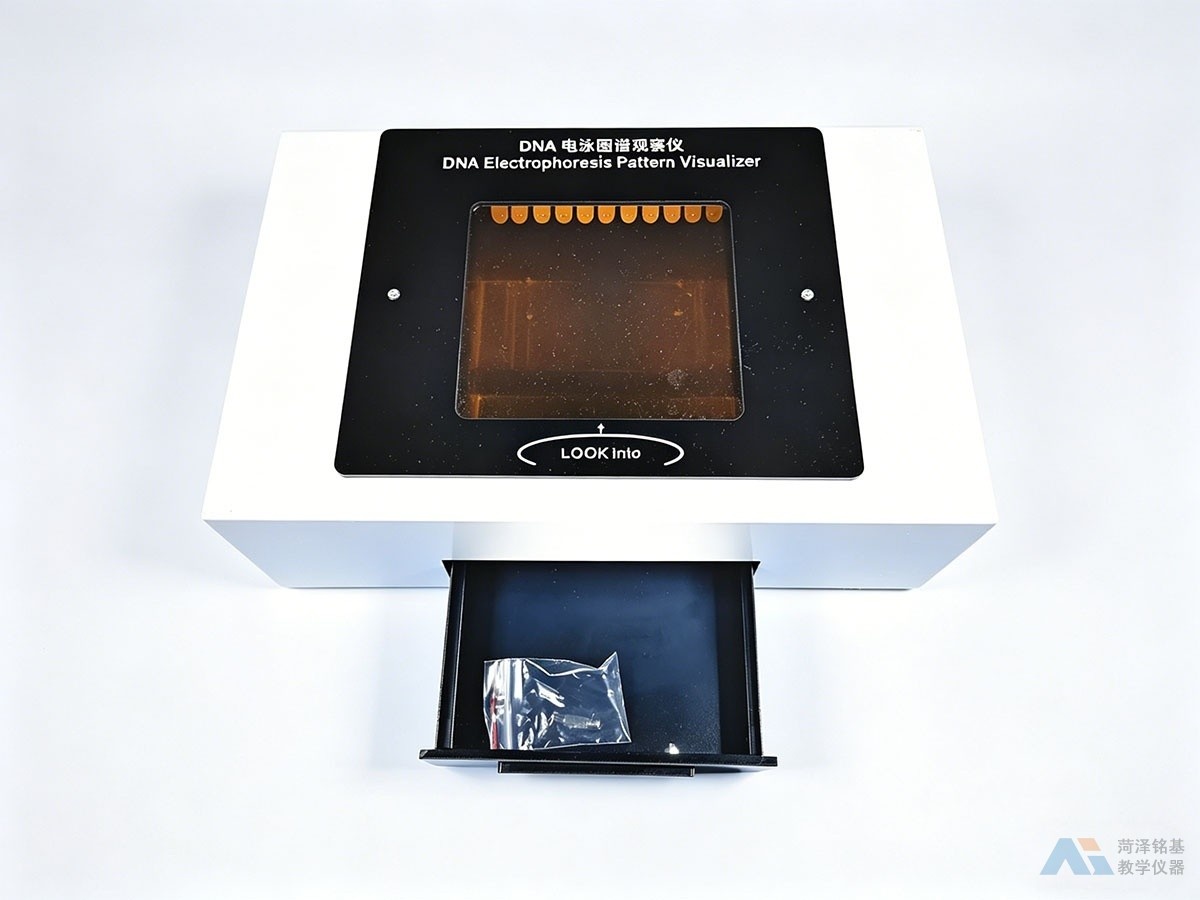 DNA电泳图谱观察仪 打开
