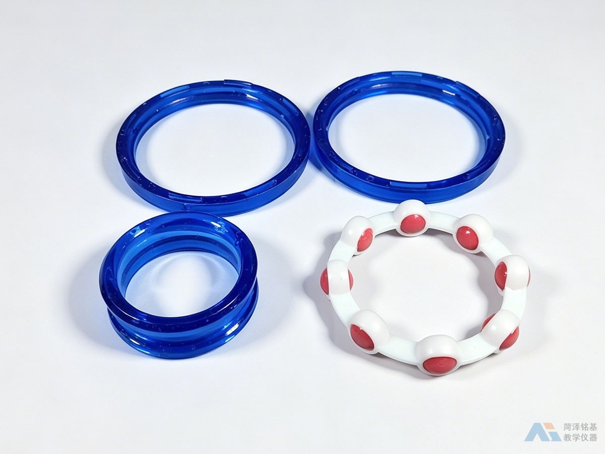 轴承模型 拆开后