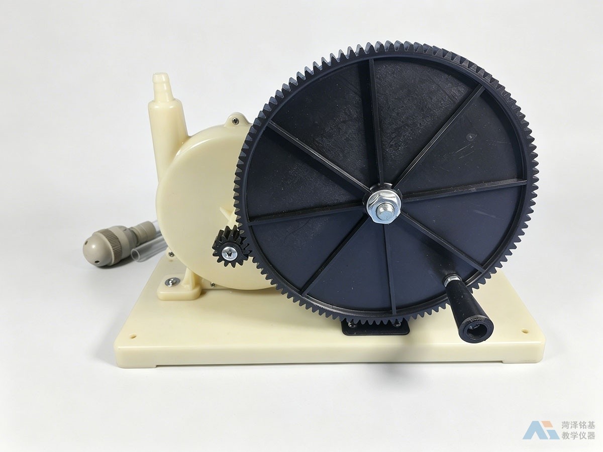 离心水泵模型 背面